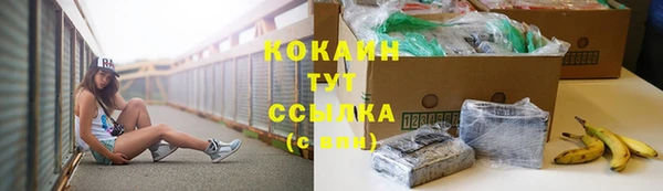 спиды Медвежьегорск