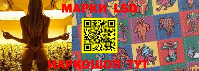 стафф Моздок