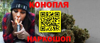 стафф Моздок