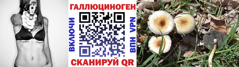 гидра как войти  Новокузнецк  Галлюциногенные грибы прущие грибы 