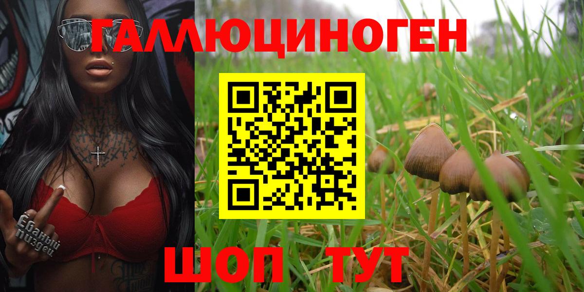 Галлюциногенные грибы Magic Shrooms Новокузнецк