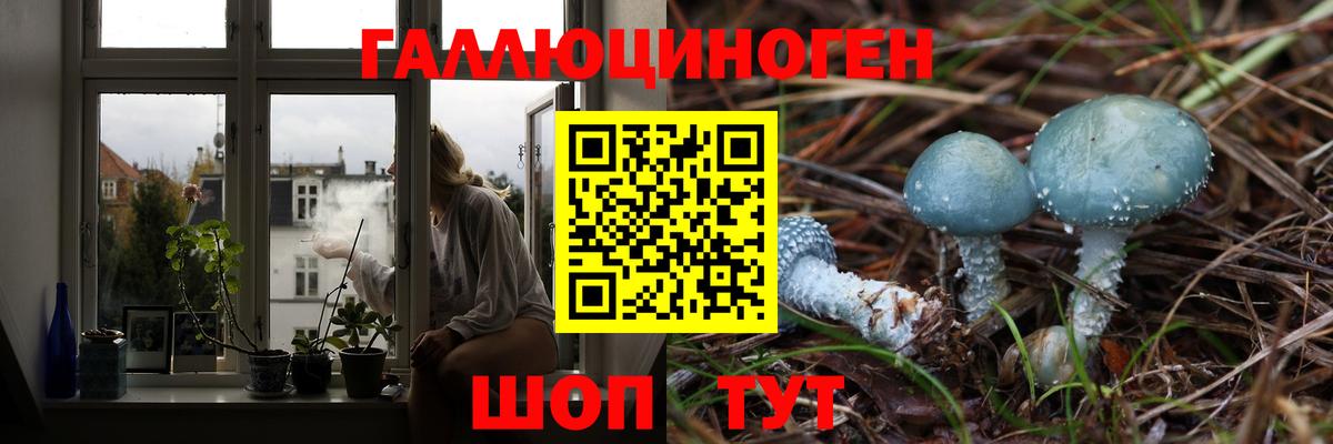 Галлюциногенные грибы Psilocybe  Галлюциногенные грибы мицелий  Вход с VPN  Новокузнецк 